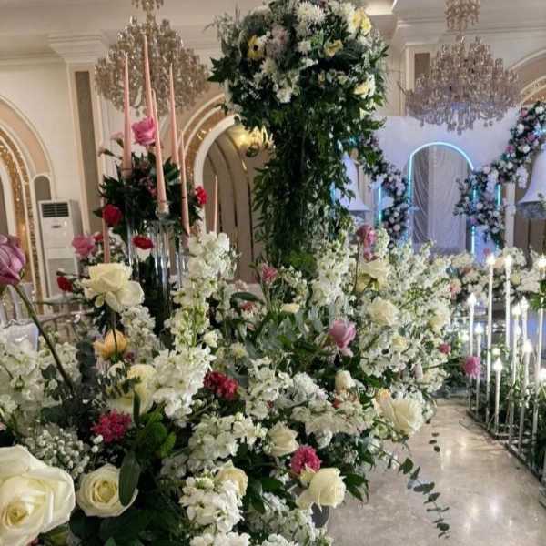 1712484513855.webp
